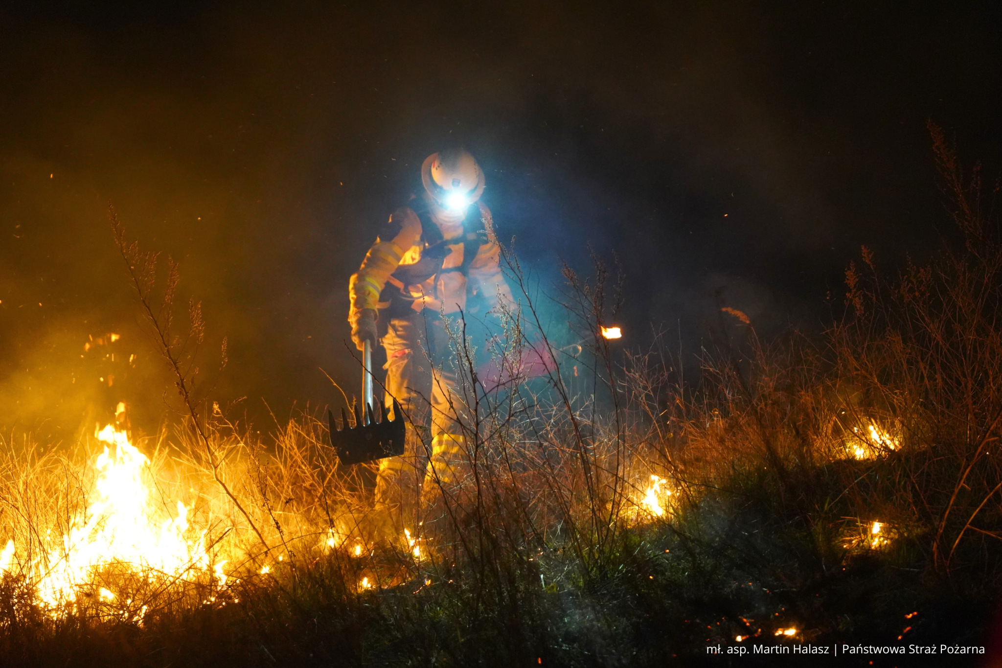 Strażacy z GFFF Poznań