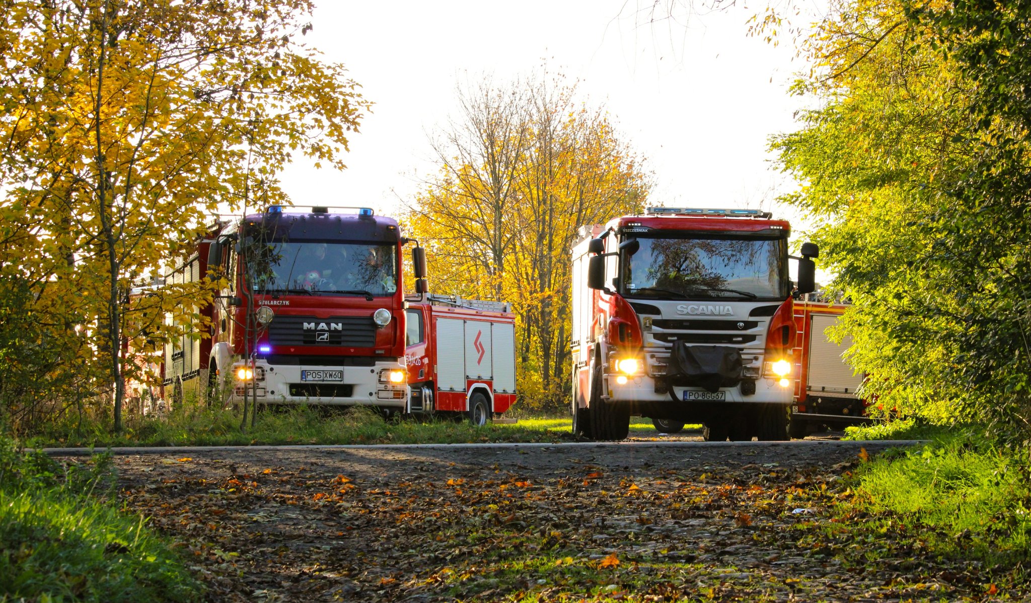 Jesienny Vibe🔥🍂🍁